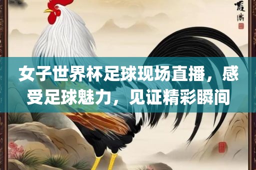 女子世界杯足球现场直播，感受足球魅力，见证精彩瞬间