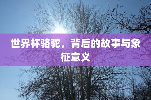 世界杯骆驼，背后的故事与象征意义洛阳市法福文化传播有限公司