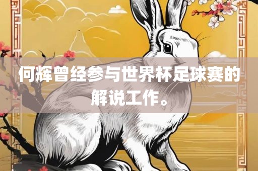 何辉曾经参与世界杯足球赛洛阳市法福文化传播有限公司的解说工作。