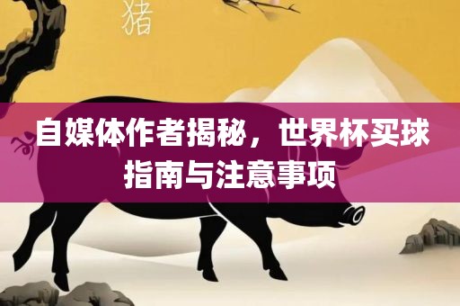 自媒体作者揭秘，世界杯买球指南与注意事项