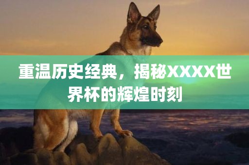 重温历史经典，揭秘XXXX世界杯的辉煌时刻