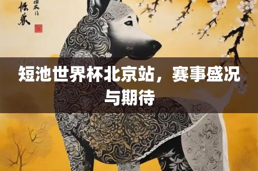 短池世界杯北京站，赛事盛况与期待洛阳市法福文化传播有限公司