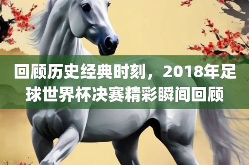 回顾历史经典时刻，2018年足球世界杯决赛精彩瞬间回顾