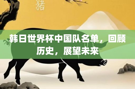 韩日世界杯中国队名单，回顾历史，展望未来洛阳市法福文化传播有限公司