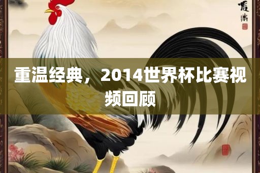 重温经典，2014世界杯比赛视频回顾