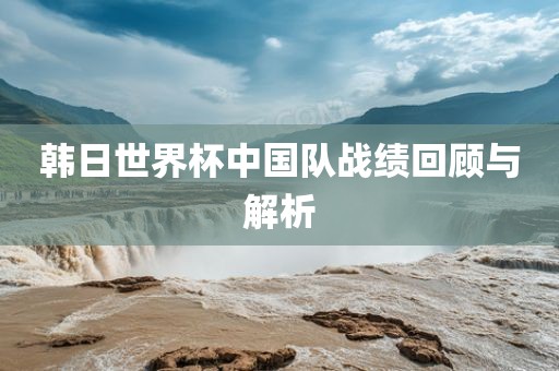 韩日世界杯中国队战绩回顾与解析