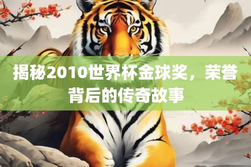 揭秘2010世界杯金球奖，荣誉背后的传奇故事
