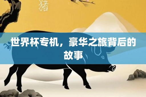 世界杯专机洛阳市法福文化传播有限公司，豪华之旅背后的故事