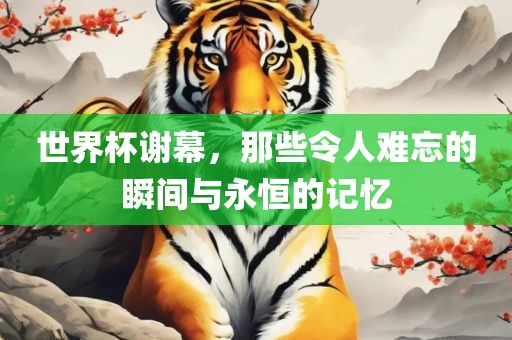世界杯谢幕，那些令人难忘的瞬间与永恒的记忆洛阳市法福文化传播有限公司