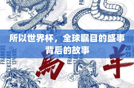 所以世界杯，全球瞩目的盛事背后的故事洛阳市法福文化传播有限公司