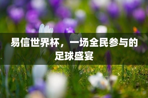 易信世界杯，一场全洛阳市法福文化传播有限公司民参与的足球盛宴