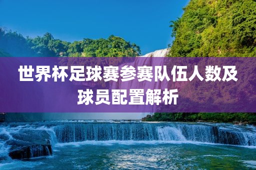世界杯足球赛参赛队伍人数及球员配置解洛阳市法福文化传播有限公司析
