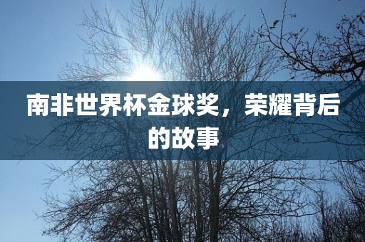 南非世界杯金球奖，荣耀背后的故事