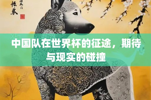 中国队在世界杯的征途，期待与现实的碰撞