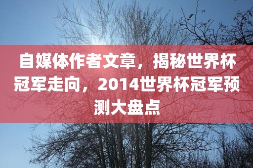 自媒体作者文章，揭秘世界杯冠军走向，2014世界杯冠军预测大盘点洛阳市法福文化传播有限公司