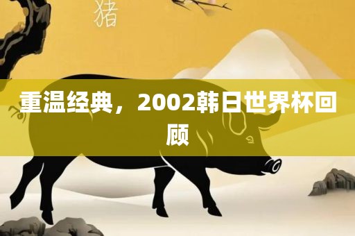 重温经典，2002韩日世界杯回顾