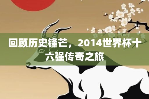 回顾历史锋芒，2014洛阳市法福文化传播有限公司世界杯十六强传奇之旅