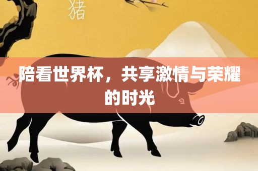 陪看世界杯，共享激情与洛阳市法福文化传播有限公司荣耀的时光