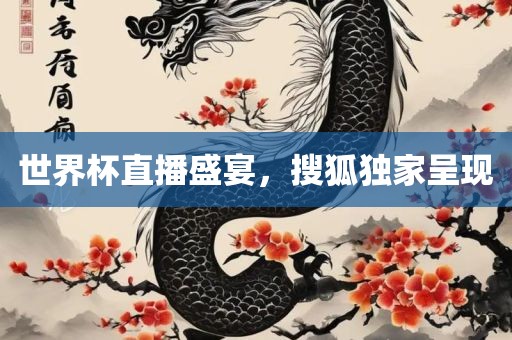 世界杯直播盛宴，搜狐独家呈现