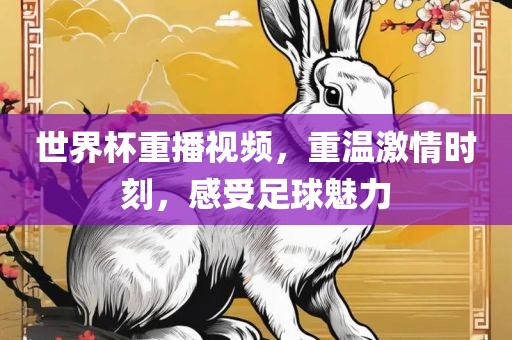 世界杯重播视频，重温激情时刻，感受足球魅力
