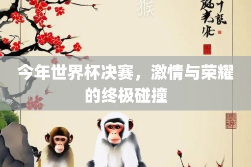 今年世界杯决赛，激情与荣耀的终极碰撞