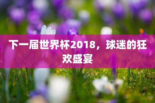 下一届世界杯2018，球迷的狂欢盛宴