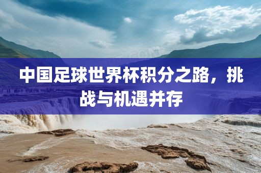 中国足球世界杯积分之路，挑战与机遇并存洛阳市法福文化传播有限公司