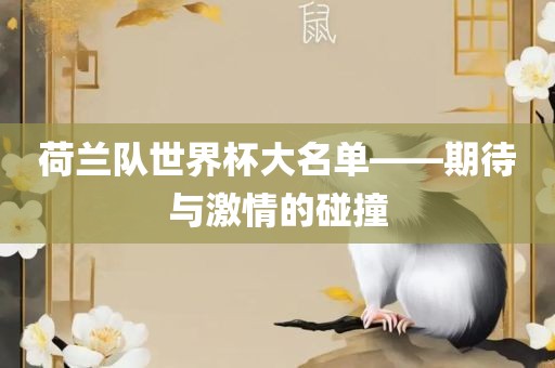 荷兰队世界杯大名单——期待与激情的碰撞