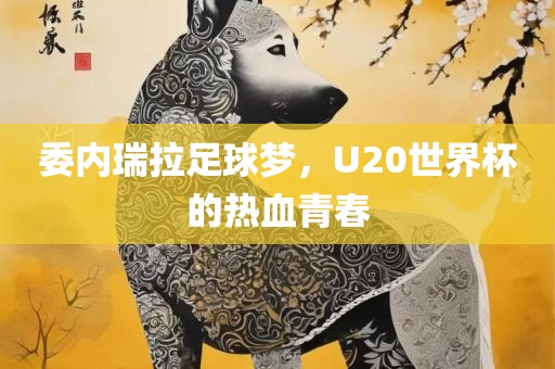 委内瑞拉足球梦，U20世界杯的热血青春