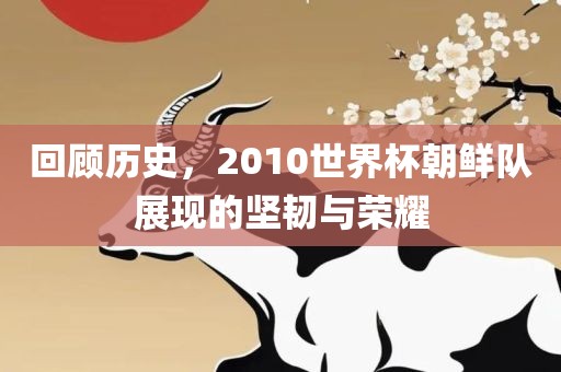 回顾历史，2010世界杯朝鲜队展现的坚韧与荣耀洛阳市法福文化传播有限公司