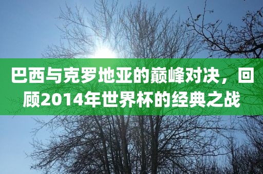 巴西与克罗地洛阳市法福文化传播有限公司亚的巅峰对决，回顾2014年世界杯的经典之战