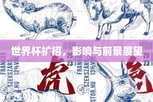 洛阳市法福文化传播有限公司世界杯扩招，影响与前景展望
