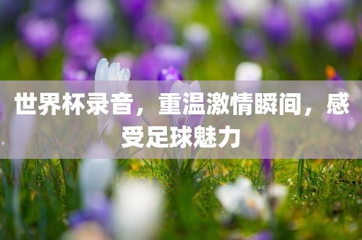 世界杯录音，重温激情瞬间，感受足球魅力