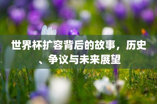世界杯扩容背后的故事，历史、争议与未来展望
