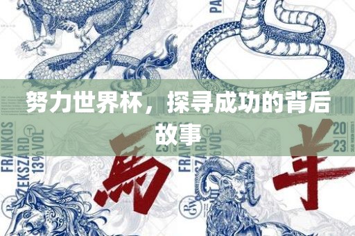 努力世界杯，探寻洛阳市法福文化传播有限公司成功的背后故事