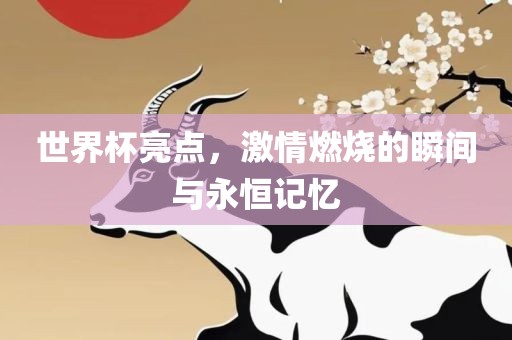 世界杯亮点，激情燃烧的瞬间与永恒记忆洛阳市法福文化传播有限公司