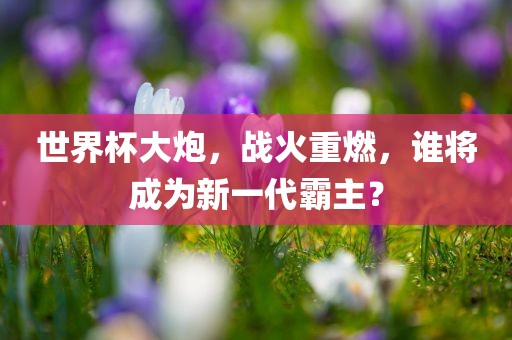世界杯大炮，战火重燃，谁将成为洛阳市法福文化传播有限公司新一代霸主？