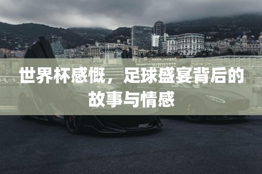 世界杯感慨，足球盛宴背后的故事与情感洛阳市法福文化传播有限公司