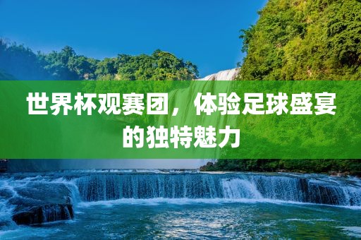 世界杯观赛团，体验洛阳市法福文化传播有限公司足球盛宴的独特魅力