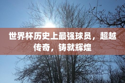 shiyijing