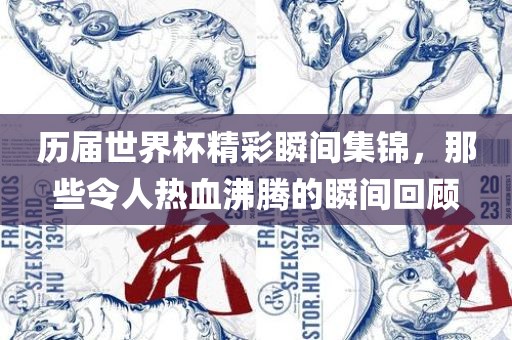 历届世界杯精彩瞬间集锦，那些令人热血沸腾的瞬间回顾