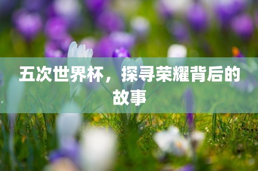 五次世界杯，探寻荣耀背后的故事