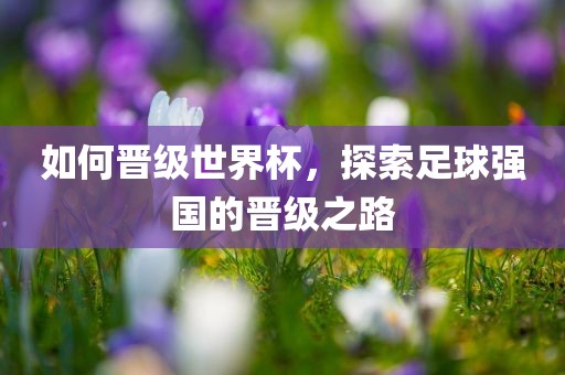 如何晋级世界杯，探索足球强国的晋级之路洛阳市法福文化传播有限公司