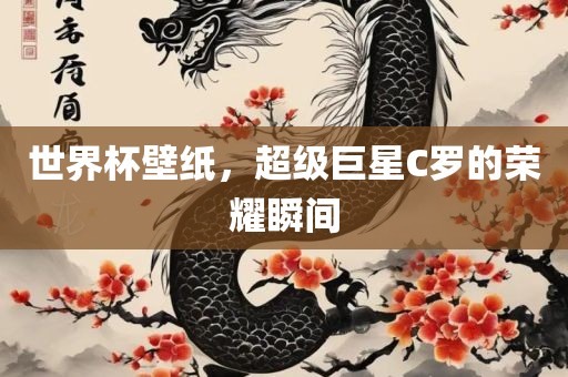 世界杯壁纸，超级巨星C罗的荣耀瞬间洛阳市法福文化传播有限公司