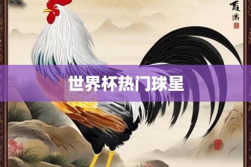 世界杯热门球星
