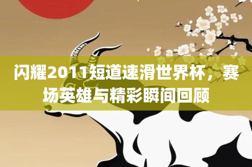 闪耀2011短道速滑世界杯，赛场英雄与精彩瞬间回顾