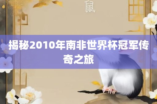 揭秘2010年南非世界杯冠军传奇之旅洛阳市法福文化传播有限公司