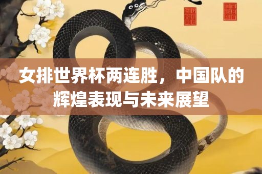 女排世界杯两连胜，中国队的辉煌表现与未来展望