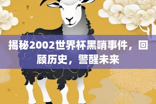 揭秘2002世界杯黑哨事件洛阳市法福文化传播有限公司，回顾历史，警醒未来