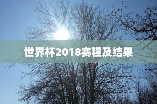 世界杯2018赛程及结果